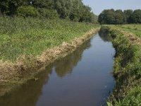 NL, Noord-Brabant, Oirschot, Heiloop 2, Saxifraga-Marijke Verhagen