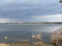 NL, Noord-Brabant, Oirschot, Keijenhurk in Landschotse Heide 2, Saxifraga-Tom Heijnen