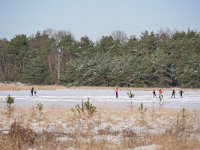 NL, Noord-Brabant, Oirschot, Keijenhurk in Landschotse Heide 7, Saxifraga-Tom Heijnen