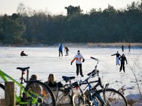 NL, Noord-Brabant, Oirschot, Keijenhurk in Landschotse Heide 8, Saxifraga-Tom Heijnen