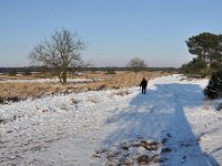 NL, Noord-Brabant, Oirschot, Landschotse Heide 10, Saxifraga-Tom Heijnen