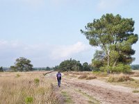 NL, Noord-Brabant, Oirschot, Landschotse Heide 13, Saxifraga-Tom Heijnen