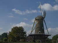 NL, Noord-Brabant, Oirschot, Molen de Korenaar 3, Saxifraga-Jan van der Straaten