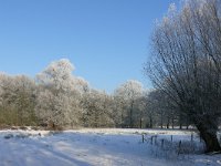 NL, Noord-Brabant, Oirschot, Mortelen 11, Saxifraga-Tom Heijnen