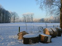 NL, Noord-Brabant, Oirschot, Mortelen 7, Saxifraga-Tom Heijnen