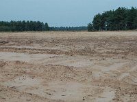 NL, Noord-Brabant, Oirschot, Oirschotse Heide 5, Saxifraga-Jaap Bouwman : stuizand2