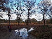 NL, Noord-Brabant, Oirschot, Oostelbeerse Heide 1, Saxifraga-Tom Heijnen