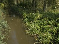 NL, Noord-Brabant, Oirschot, Smalbroeken, Beerze 4, Saxifraga-Jan van der Straaten