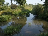 NL, Noord-Brabant, Oirschot, Watermolen Spoordonk 6, Saxifraga-Jan van der Straaten