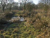 NL, Noord-Brabant, Oirschot, Westelbeersche Broek 15, Saxifraga-Jan van der Straaten