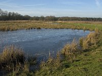 NL, Noord-Brabant, Oirschot, Westelbeersche Broek 9, Saxifraga-Jan van der Straaten