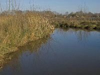 NL, Noord-Brabant, Oirschot, Westelbeersche Broek, Beerze 7, Saxifraga-Jan van der Straaten