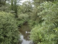 NL, Noord-Brabant, Oisterwijk, Beerze 1, Saxifraga-Willem van Kruijsbergen