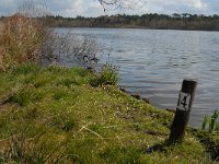 NL, Noord-Brabant, Oisterwijk, Belversven 10, Saxifraga-Jan van der Straaten