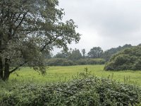 NL, Noord-Brabant, Oisterwijk, Dal van de Beerze 2, Saxifraga-Willem van Kruijsbergen