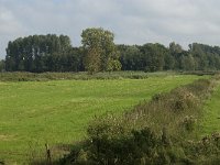 NL, Noord-Brabant, Oisterwijk, Den Opslag 1, Saxifraga-Jan van der Straaten