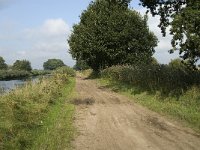 NL, Noord-Brabant, Oisterwijk, Den Opslag 10, Saxifraga-Jan van der Straaten