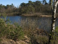 NL, Noord-Brabant, Oisterwijk, Groot Aderven 4, Saxifraga-Jan van der Straaten