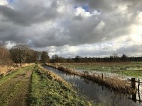 NL, Noord-Brabant, Oisterwijk, Hoevensesteeg 8, Saxifraga-Jan van der Straaten