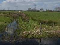 NL, Noord-Brabant, Oisterwijk, Kasteeldreef 4, Saxifraga-Jan van der Straaten