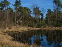 NL, Noord-Brabant, Oisterwijk, Klein Aderven 6, Saxifraga-Jan van der Straaten