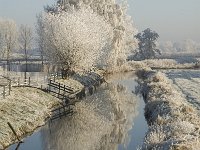 NL, Noord-Brabant, Oisterwijk, Laag-Heukelum, Voorste Stroom 2, Saxifraga-Jan van der Straaten