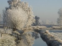 NL, Noord-Brabant, Oisterwijk, Laag-Heukelum, Voorste Stroom 3, Saxifraga-Jan van der Straaten