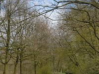 NL, Noord-Brabant, Oisterwijk, Logtsche Heide, Rosep 2, Saxifraga-Marijke Verhagen