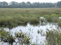 NL, Noord-Brabant, Oisterwijk, Logtsebaan 1, Saxifraga-Willem van Kruijsbergen