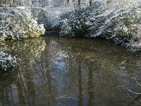 NL, Noord-Brabant, Oisterwijk, Oude Hondsberg 2, Saxifraga-Jan van der Straaten