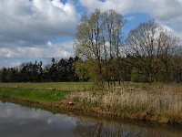 NL, Noord-Brabant, Oisterwijk, Oude Hondsberg 8, Saxifraga-Jan van der Straaten