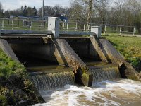 NL, Noord-Brabant, Oisterwijk, Oude Hondsberg 9, Saxifraga-Jan van der Straaten