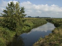 NL, Noord-Brabant, Oisterwijk, Reusel 1, Saxifraga-Jan van der Straaten