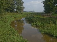 NL, Noord-Brabant, Oisterwijk, Reusel 7, Saxifraga-Jan van der Straaten