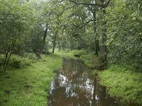 NL, Noord-Brabant, Oisterwijk, Rosep 1, Saxifraga-Willem van Kruijsbergen