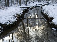 NL, Noord-Brabant, Oisterwijk, Rosep 14, Saxifraga-Jan van der Straaten