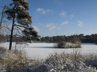 NL, Noord-Brabant, Oisterwijk, Voorste Goorven 4, Saxifraga-Jan van der Straaten