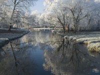 NL, Noord-Brabant, Oisterwijk, Voorste Stroom 11, Saxifraga-Jan van der Straaten