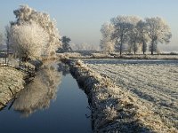 NL, Noord-Brabant, Oisterwijk, Voorste Stroom 20, Saxifraga-Jan van der Straaten