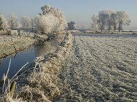 NL, Noord-Brabant, Oisterwijk, Voorste Stroom 21, Saxifraga-Jan van der Straaten