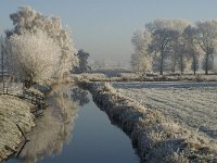 NL, Noord-Brabant, Oisterwijk, Voorste Stroom 24, Saxifraga-Jan van der Straaten