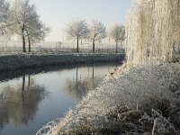 NL, Noord-Brabant, Oisterwijk, Voorste Stroom 3, Saxifraga-Jan van der Straaten