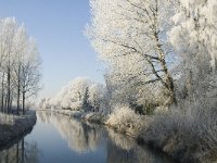 NL, Noord-Brabant, Oisterwijk, Voorste Stroom 8, Saxifraga-Jan van der Straaten