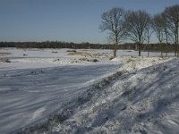 NL, Noord-Brabant, Oisterwijk, Winkelsven 12, Saxifraga-Jan van der Straaten