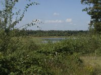 NL, Noord-Brabant, Oisterwijk, Winkelsven 30, Saxifraga-Marijke Verhagen