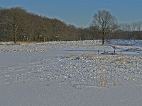 NL, Noord-Brabant, Oisterwijk, Winkelsven 41, Saxifraga-Jan van der Straaten