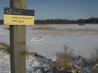 NL, Noord-Brabant, Oisterwijk, Winkelsven 42, Saxifraga-Jan van der Straaten