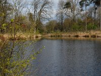 NL, Noord-Brabant, Oisterwijk, Wolfsputven 1, Saxifraga-Jan van der Straaten