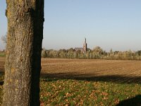 NL, Noord-Brabant, Oss, Batenburg 3, Saxifraga-Hans Boll