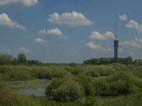 NL, Noord-Brabant, Oss, De Vliet 4, Saxifraga-Jan van der Straaten